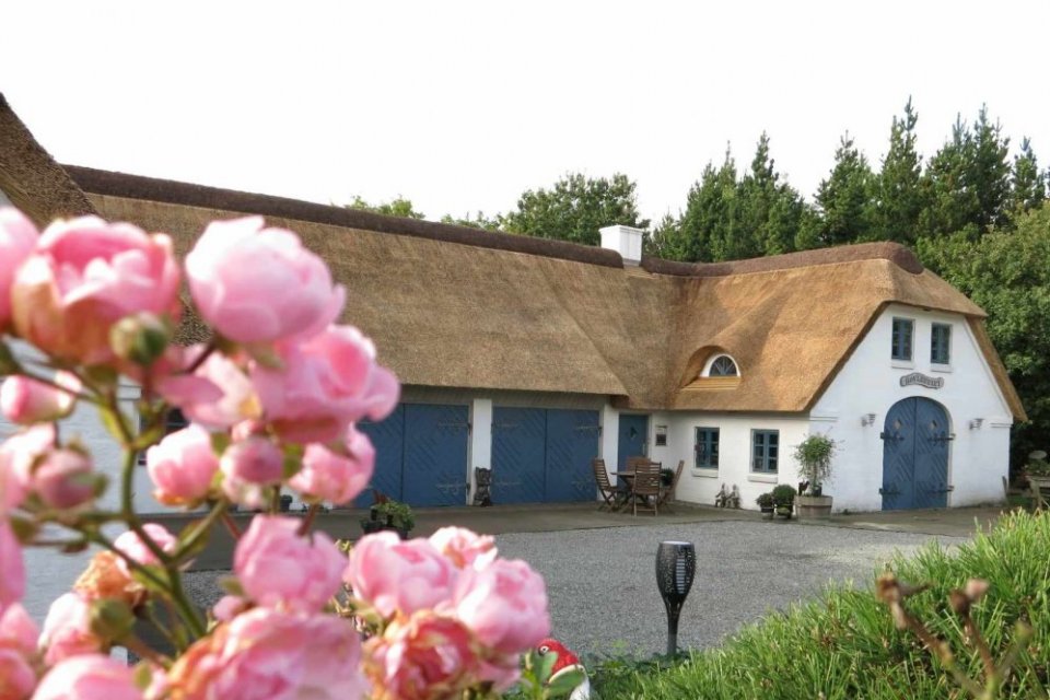 Høvlehuset I Blåvand logo